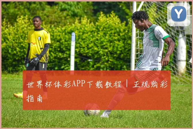 世界杯体彩APP下载教程｜正规购彩指南