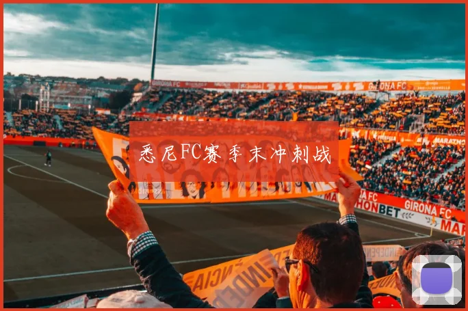 悉尼FC赛季末冲刺战
