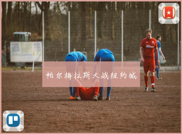 帕尔梅拉斯大战纽约城