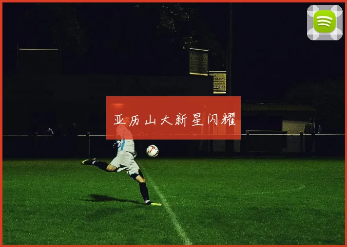 亚历山大新星闪耀